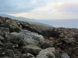 Visite de la petite cousine !